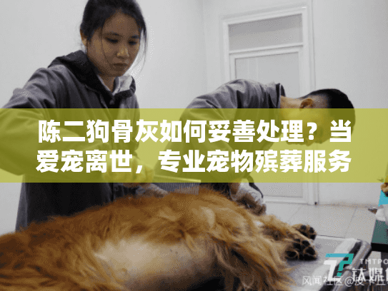 陈二狗骨灰如何妥善处理？当爱宠离世，专业宠物殡葬服务指南