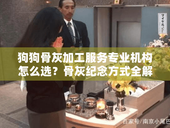 狗狗骨灰加工服务专业机构怎么选？骨灰纪念方式全解析