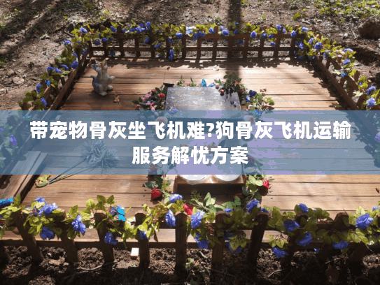 带宠物骨灰坐飞机难?狗骨灰飞机运输服务解忧方案