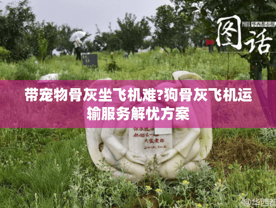 带宠物骨灰坐飞机难?狗骨灰飞机运输服务解忧方案