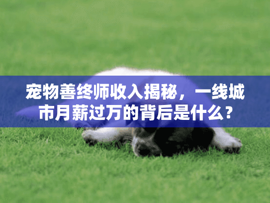 宠物善终师收入揭秘，一线城市月薪过万的背后是什么？