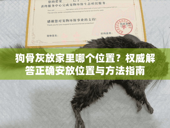 狗骨灰放家里哪个位置？权威解答正确安放位置与方法指南