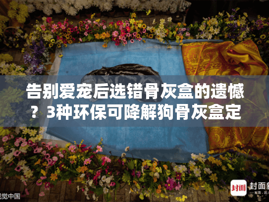 告别爱宠后选错骨灰盒的遗憾？3种环保可降解狗骨灰盒定制方案推荐
