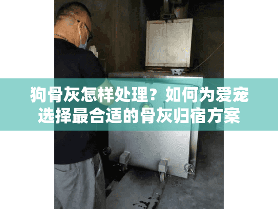狗骨灰怎样处理？如何为爱宠选择最合适的骨灰归宿方案
