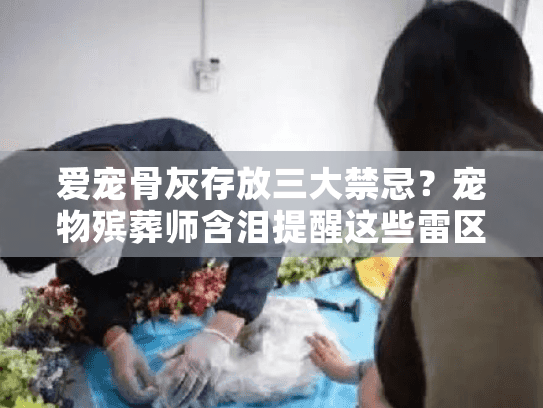 爱宠骨灰存放三大禁忌？宠物殡葬师含泪提醒这些雷区！