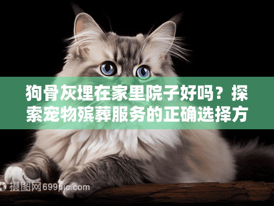 狗骨灰埋在家里院子好吗？探索宠物殡葬服务的正确选择方式