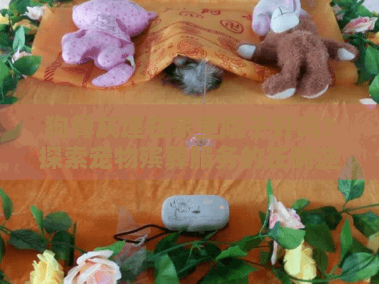 狗骨灰埋在家里院子好吗？探索宠物殡葬服务的正确选择方式