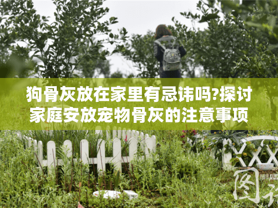 狗骨灰放在家里有忌讳吗?探讨家庭安放宠物骨灰的注意事项