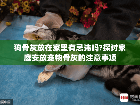 狗骨灰放在家里有忌讳吗?探讨家庭安放宠物骨灰的注意事项