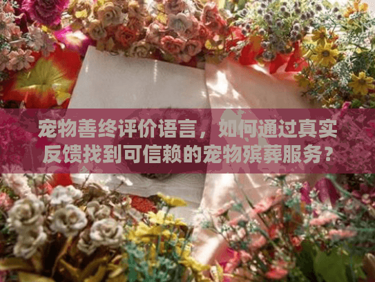 宠物善终评价语言，如何通过真实反馈找到可信赖的宠物殡葬服务？