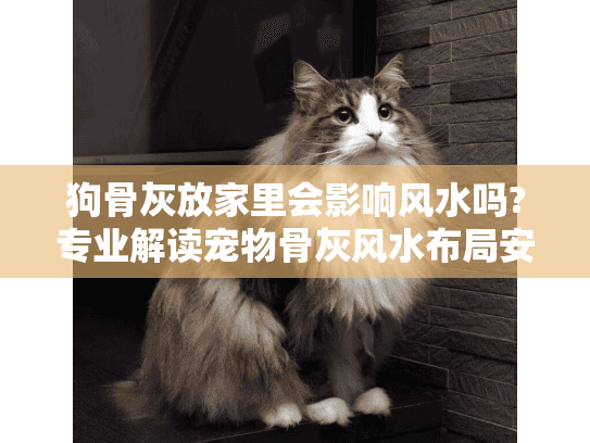 狗骨灰放家里会影响风水吗?专业解读宠物骨灰风水布局安全指南