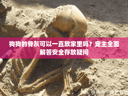 狗狗的骨灰可以一直放家里吗？宠主全面解答安全存放疑问