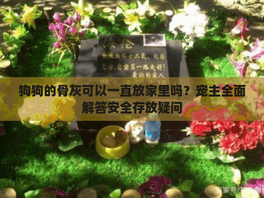 狗狗的骨灰可以一直放家里吗？宠主全面解答安全存放疑问
