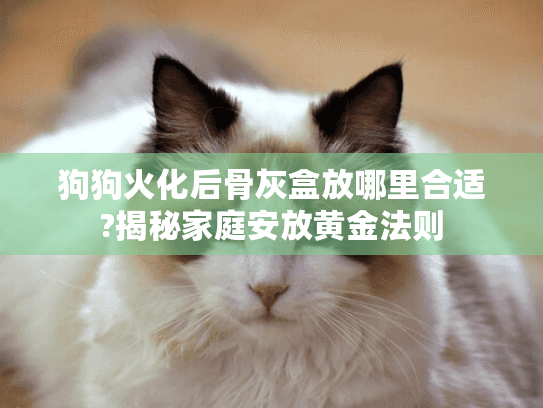 狗狗火化后骨灰盒放哪里合适?揭秘家庭安放黄金法则
