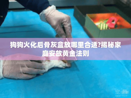 狗狗火化后骨灰盒放哪里合适?揭秘家庭安放黄金法则