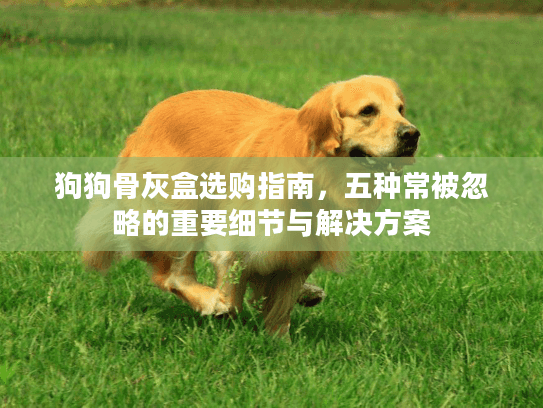 狗狗骨灰盒选购指南，五种常被忽略的重要细节与解决方案