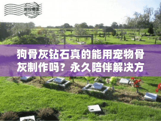 狗骨灰钻石真的能用宠物骨灰制作吗？永久陪伴解决方案解析