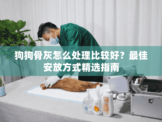狗狗骨灰怎么处理比较好？最佳安放方式精选指南