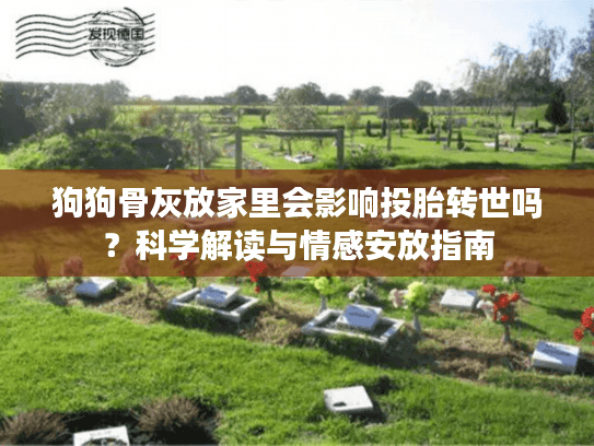 狗狗骨灰放家里会影响投胎转世吗？科学解读与情感安放指南