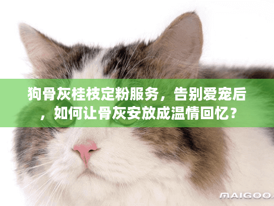 狗骨灰桂枝定粉服务，告别爱宠后，如何让骨灰安放成温情回忆？