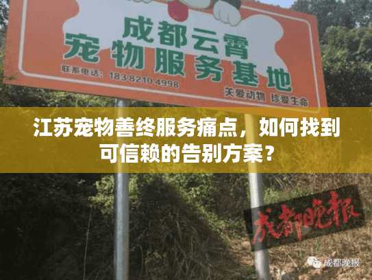 江苏宠物善终服务痛点，如何找到可信赖的告别方案？