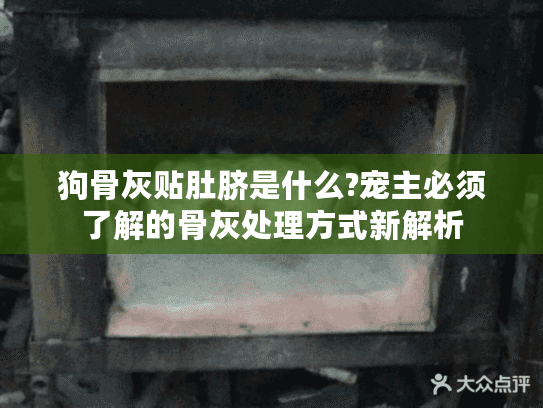 狗骨灰贴肚脐是什么?宠主必须了解的骨灰处理方式新解析