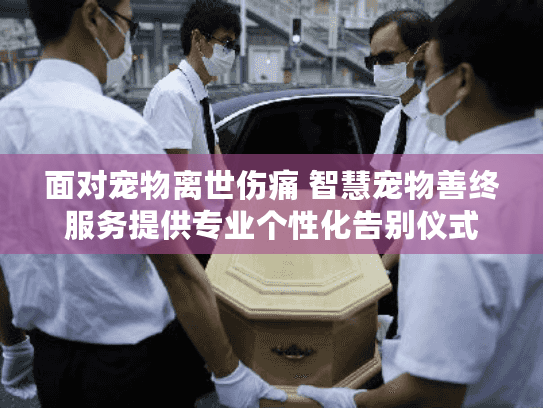 面对宠物离世伤痛 智慧宠物善终服务提供专业个性化告别仪式