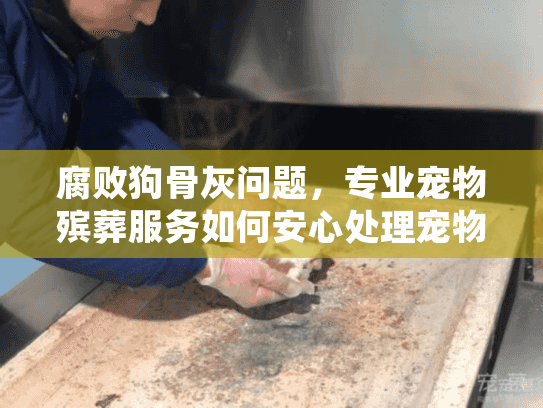 腐败狗骨灰问题，专业宠物殡葬服务如何安心处理宠物遗体腐败风险