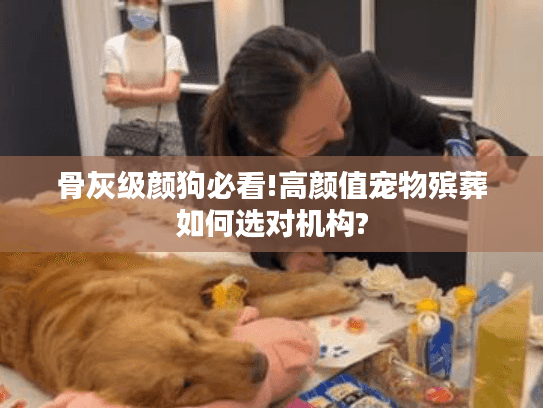 骨灰级颜狗必看!高颜值宠物殡葬如何选对机构?