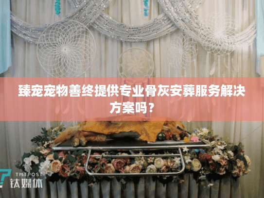 臻宠宠物善终提供专业骨灰安葬服务解决方案吗？