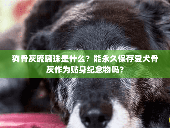 狗骨灰琉璃珠是什么？能永久保存爱犬骨灰作为贴身纪念物吗？