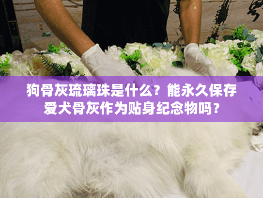 狗骨灰琉璃珠是什么？能永久保存爱犬骨灰作为贴身纪念物吗？