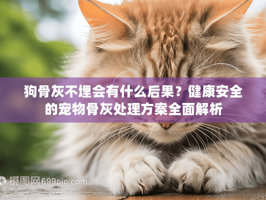 狗骨灰不埋会有什么后果？健康安全的宠物骨灰处理方案全面解析