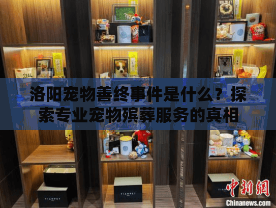 洛阳宠物善终事件是什么？探索专业宠物殡葬服务的真相