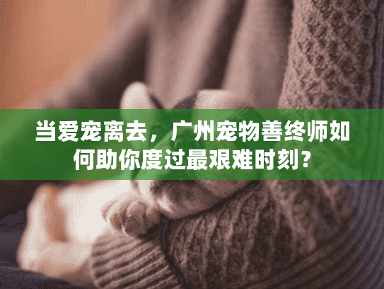 当爱宠离去，广州宠物善终师如何助你度过最艰难时刻？