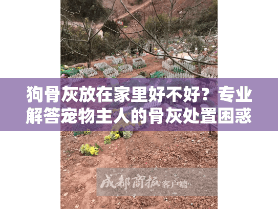 狗骨灰放在家里好不好？专业解答宠物主人的骨灰处置困惑