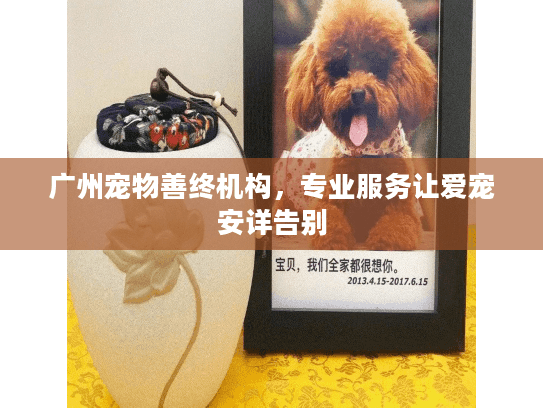 广州宠物善终机构，专业服务让爱宠安详告别