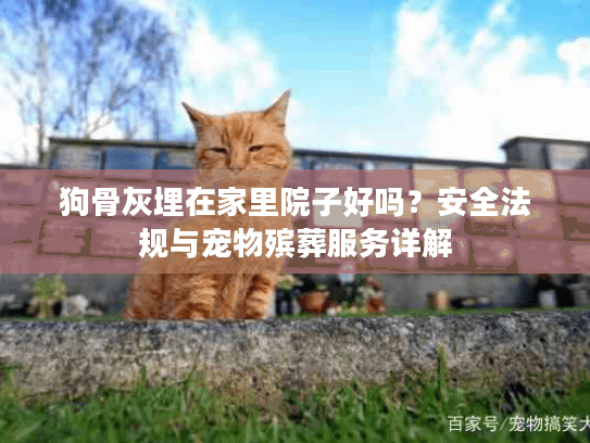 狗骨灰埋在家里院子好吗？安全法规与宠物殡葬服务详解