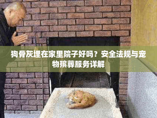 狗骨灰埋在家里院子好吗？安全法规与宠物殡葬服务详解
