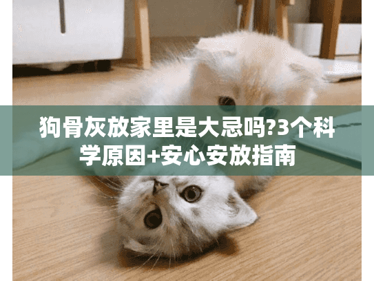 狗骨灰放家里是大忌吗?3个科学原因+安心安放指南
