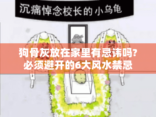 狗骨灰放在家里有忌讳吗?必须避开的6大风水禁忌