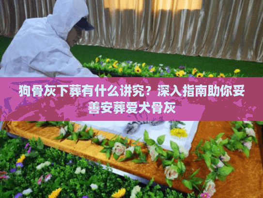狗骨灰下葬有什么讲究？深入指南助你妥善安葬爱犬骨灰