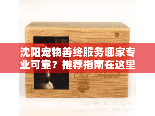 沈阳宠物善终服务哪家专业可靠？推荐指南在这里