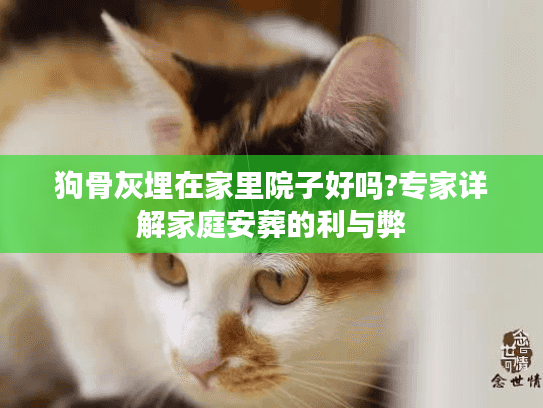 狗骨灰埋在家里院子好吗?专家详解家庭安葬的利与弊