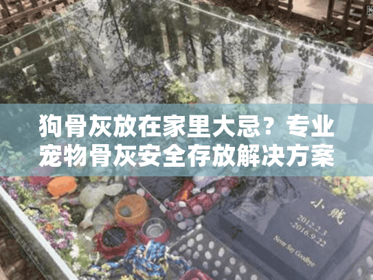 狗骨灰放在家里大忌？专业宠物骨灰安全存放解决方案