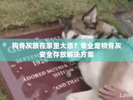 狗骨灰放在家里大忌？专业宠物骨灰安全存放解决方案