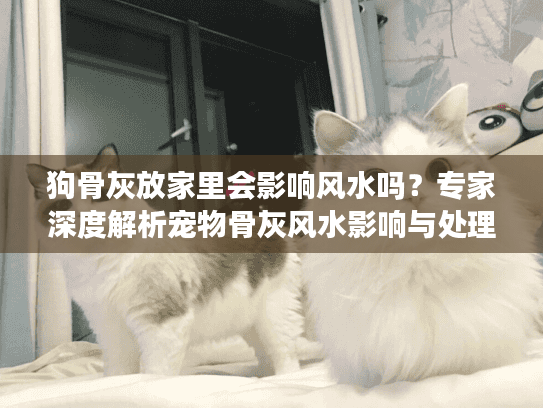 狗骨灰放家里会影响风水吗？专家深度解析宠物骨灰风水影响与处理建议