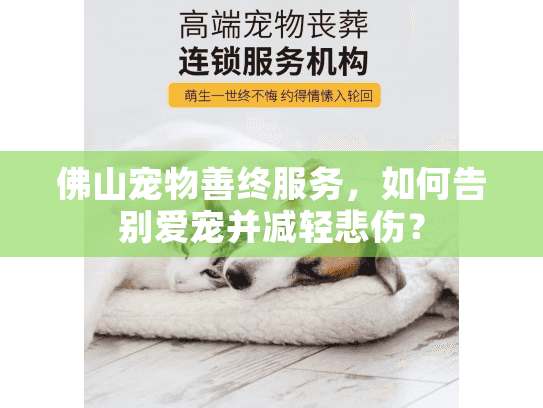 佛山宠物善终服务，如何告别爱宠并减轻悲伤？