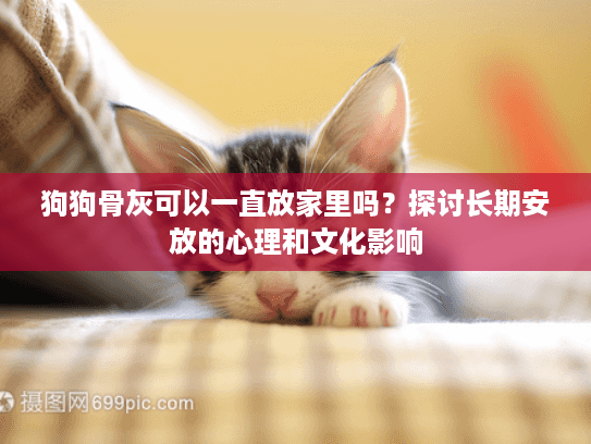 狗狗骨灰可以一直放家里吗？探讨长期安放的心理和文化影响