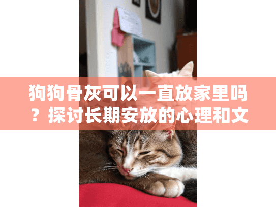 狗狗骨灰可以一直放家里吗？探讨长期安放的心理和文化影响